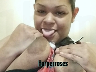 Harperroses