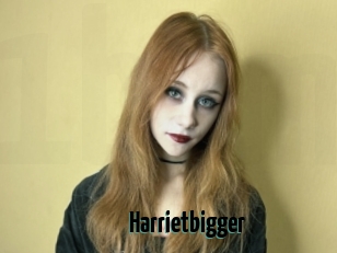 Harrietbigger