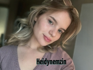 Heidynemzin