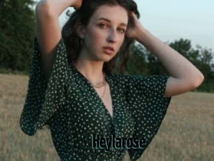 Heylarose
