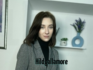 Hildgallamore
