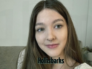 Hollisbarks