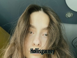 Hollisgarney