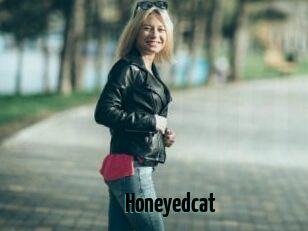 Honeyedcat