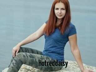 Hotreddaisy