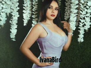 IvanaBird
