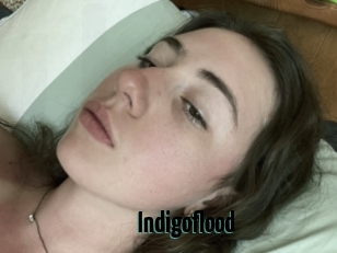 Indigoflood
