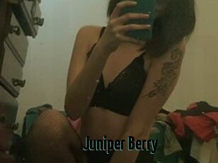 Juniper_Berry