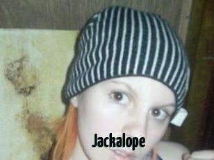 Jackalope