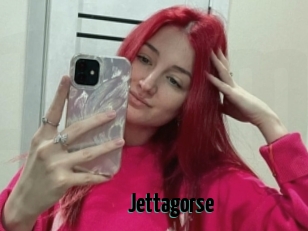 Jettagorse