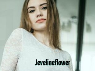 Jevelineflower