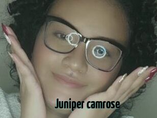 Juniper_camrose