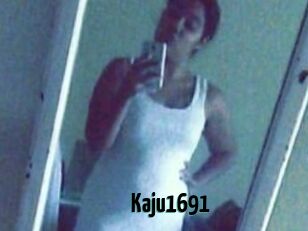 Kaju1691