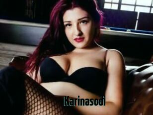 Karinasodi