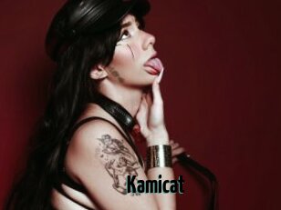Kamicat