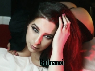 Karinanoir