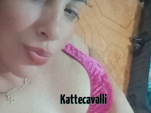 Kattecavalli