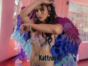 Kattrose