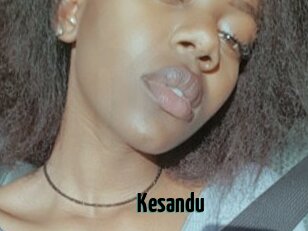 Kesandu