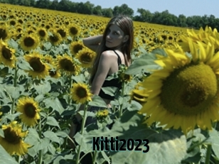 Kitti2023