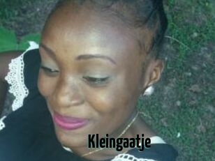 Kleingaatje
