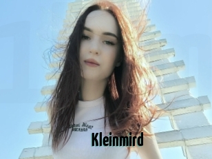 Kleinmird