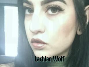 Lachlan_Wolf