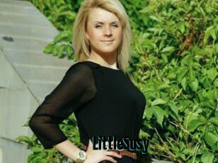 LittleSusy