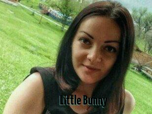 Little_Bunny_