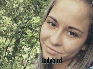 Ladybird