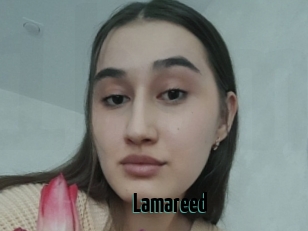 Lamareed