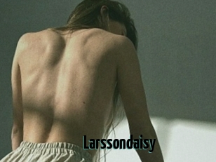 Larssondaisy
