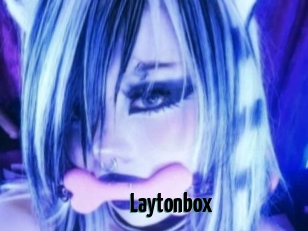 Laytonbox