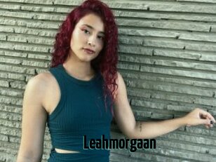 Leahmorgaan