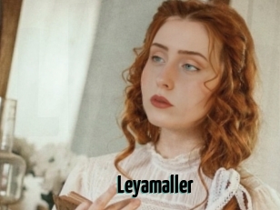 Leyamaller