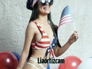 Liaortizcam