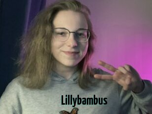 Lillybambus
