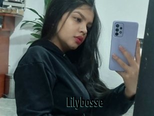 Lilybosse