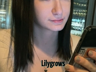 Lilygrows