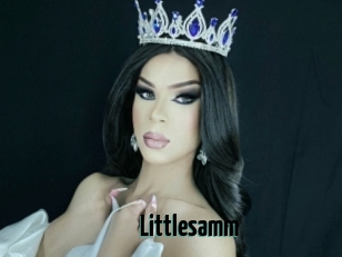 Littlesamm