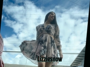 Lizziesnow