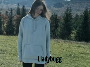 Lladybugg