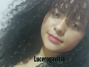 Lucerogaviria