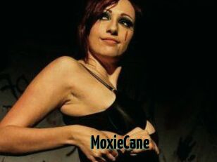 Moxie_Cane