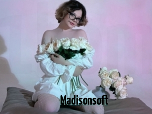 Madisonsoft