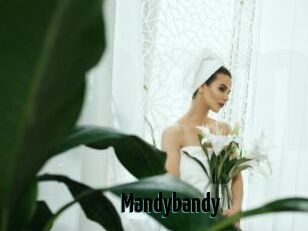 Mandybandy