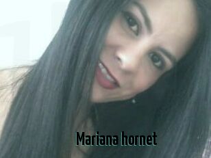 Mariana_hornet