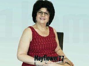 Mayflower77
