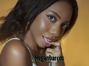 Meganbarcos