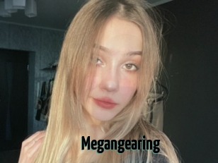 Megangearing